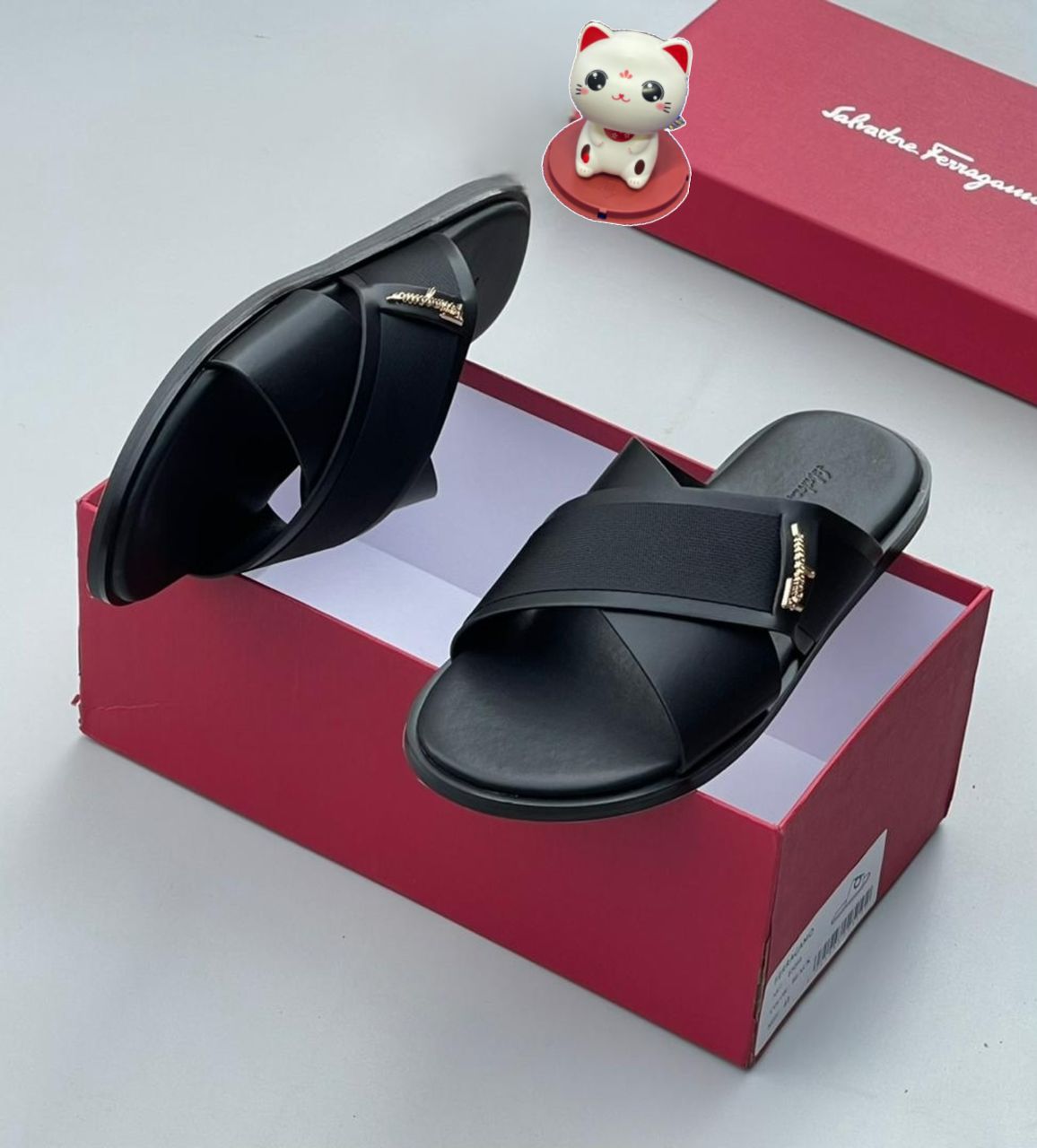 WhatsApp Image 2026-02-20 at 06.39.36