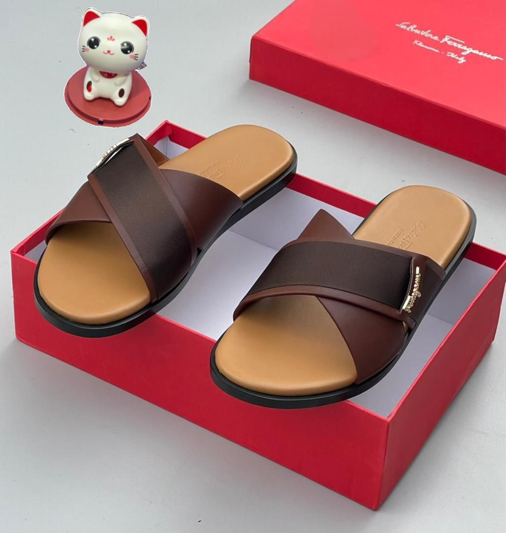 WhatsApp Image 2026-02-20 at 06.40.17