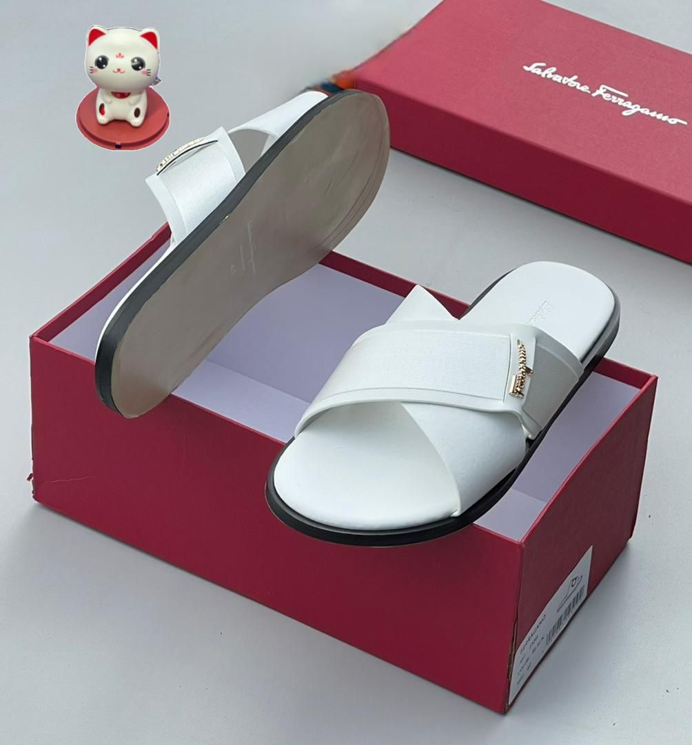 WhatsApp Image 2026-02-20 at 06.39.08